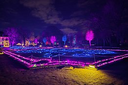 Beleuchtete Parkanlage mit geometrischem Muster aus lila und gelben Lichtern bei Nacht